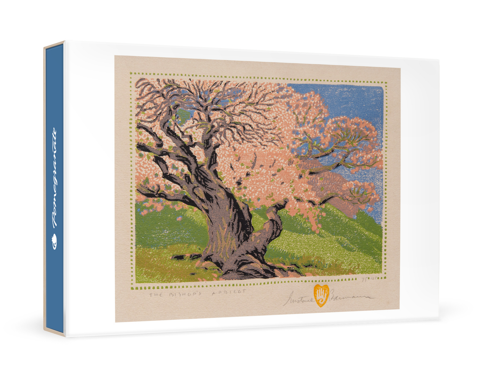 Gustave Baumann The Bishop's Apricot Boxed Note Cards    