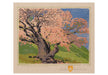 Gustave Baumann The Bishop's Apricot Boxed Note Cards    