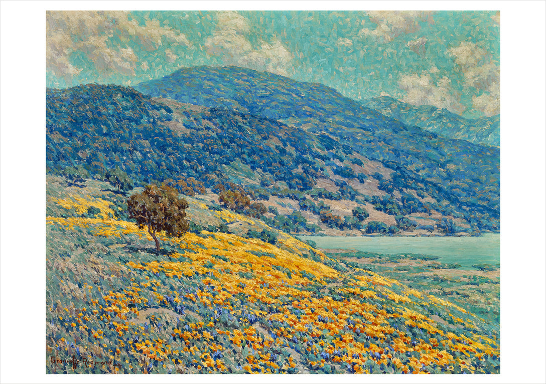 Granville Redmond Wild Poppies - Boxed Assorted Note Cards    