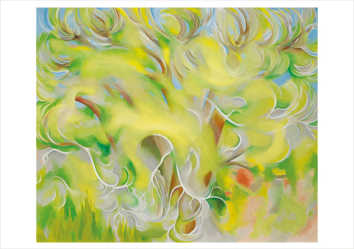 Georgia O'Keeffe Trees Boxed Assorted Note Cards