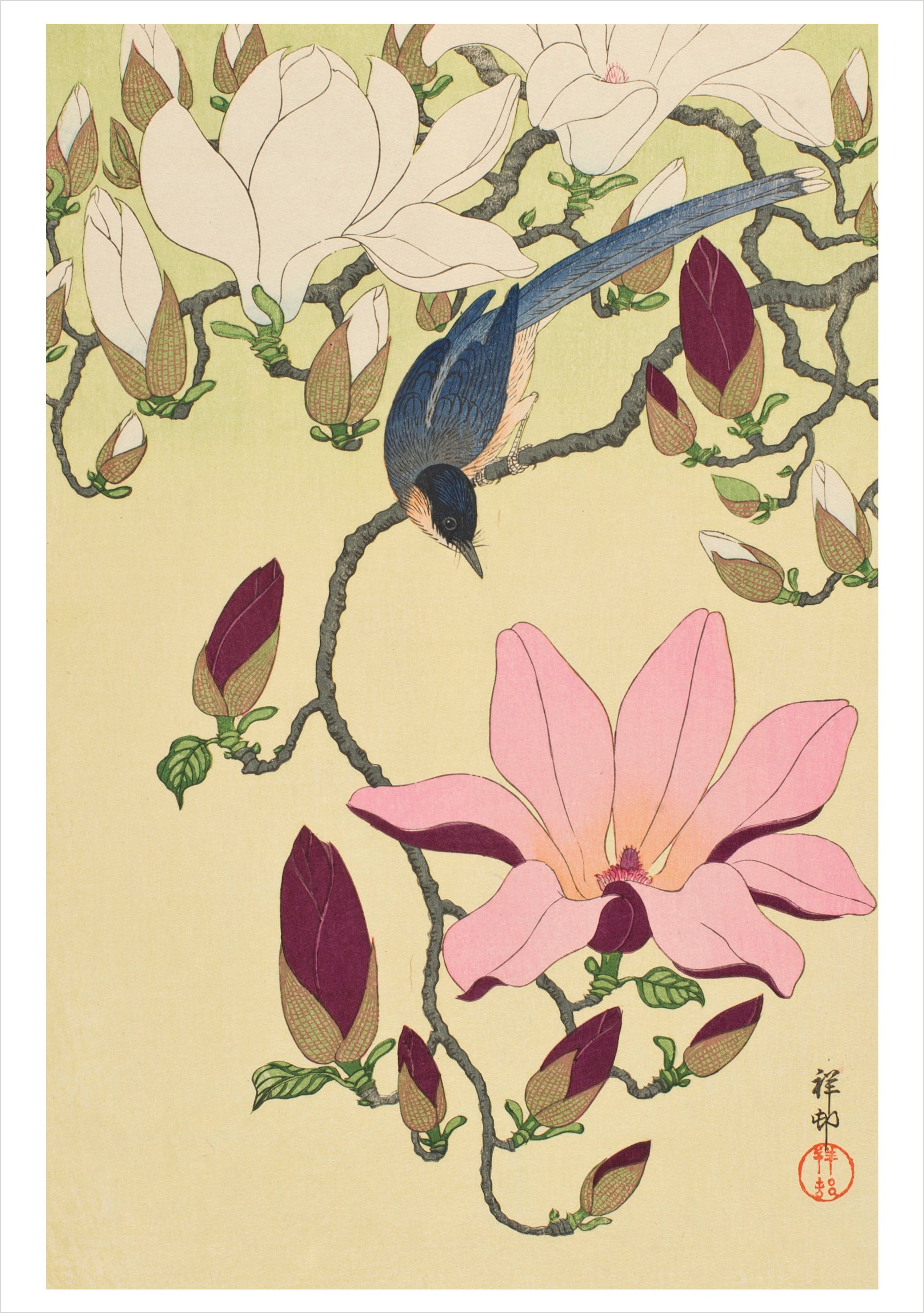 Ohara Shoson Boxed Notecards    