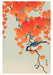 Ohara Shoson Boxed Notecards    