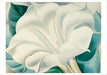 Georgia O'Keeffe Boxed Assorted Note Cards
