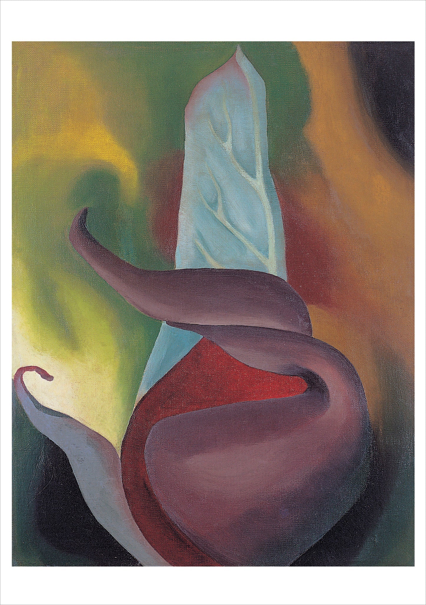 Georgia O'Keeffe Boxed Assorted Note Cards
