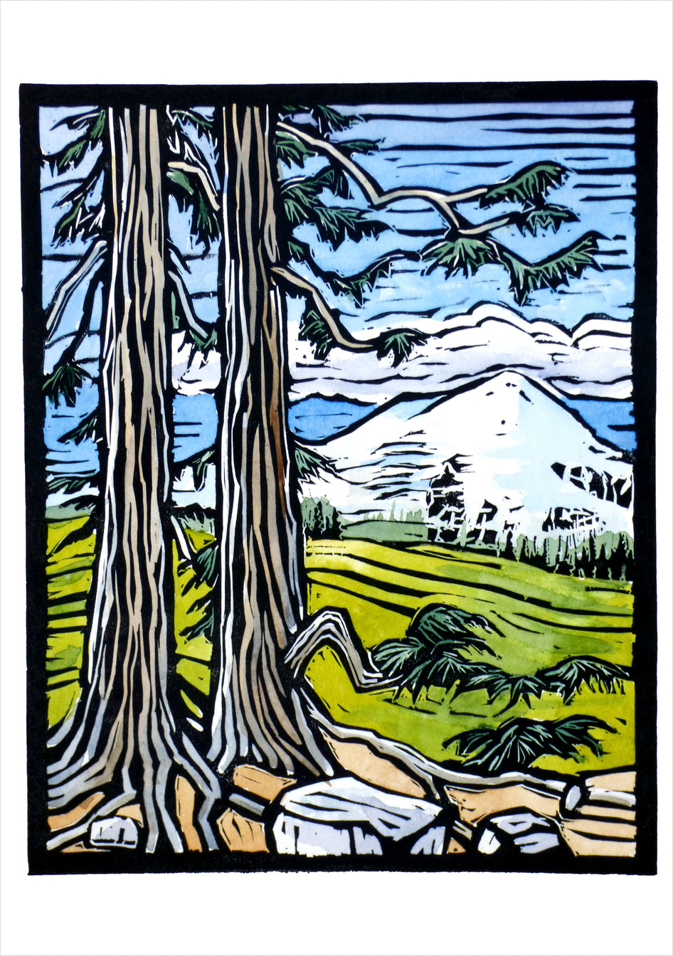 Molly Hashimoto Trees - Boxed Assorted Note Cards    