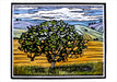 Molly Hashimoto Trees - Boxed Assorted Note Cards    