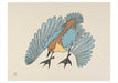 Aoudla Pudlat Dancing Birds Boxed Assorted Note Cards    