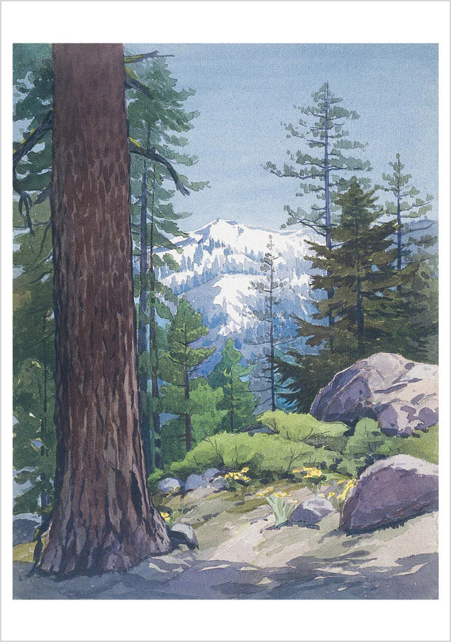 William S. Rice Watercolors - Boxed Assorted Note Cards    