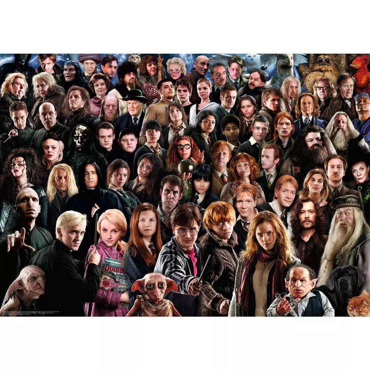 Harry Potter Challenge 1000 Piece Puzzle