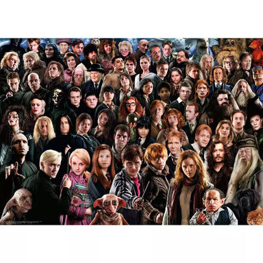 Harry Potter Challenge 1000 Piece Puzzle