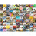 99 Bicycles and More 1500 Piece Puzzle