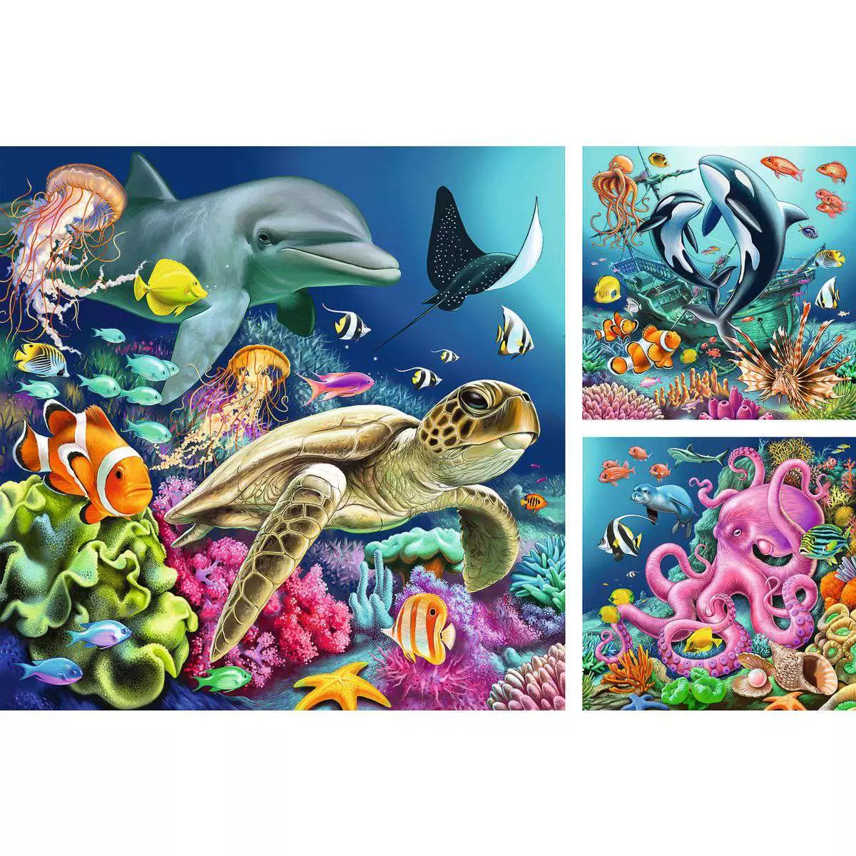 RAV Underwater Splendor 3x49 Piece Puzzle