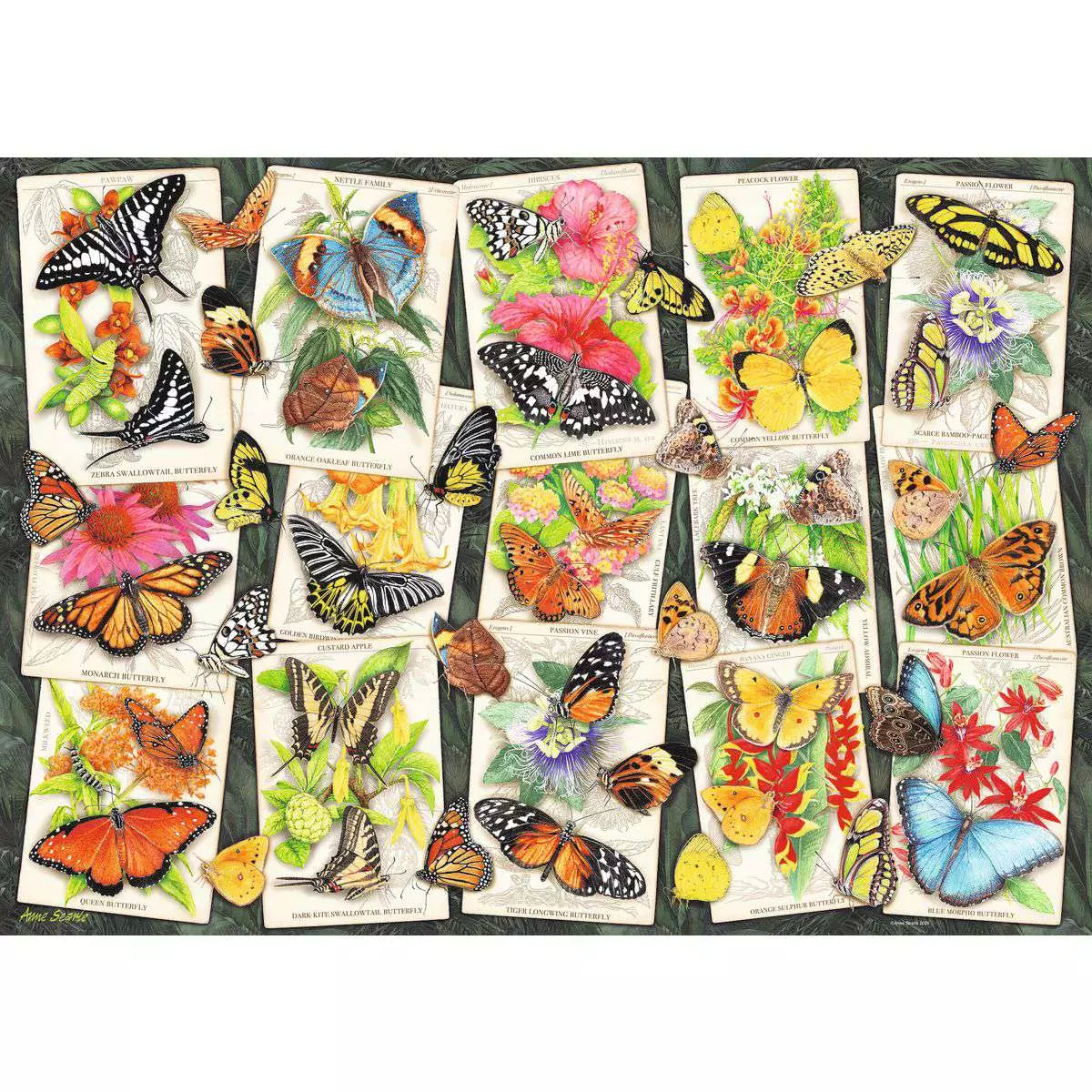 Tropical Butterflies 1000 Piece Puzzle