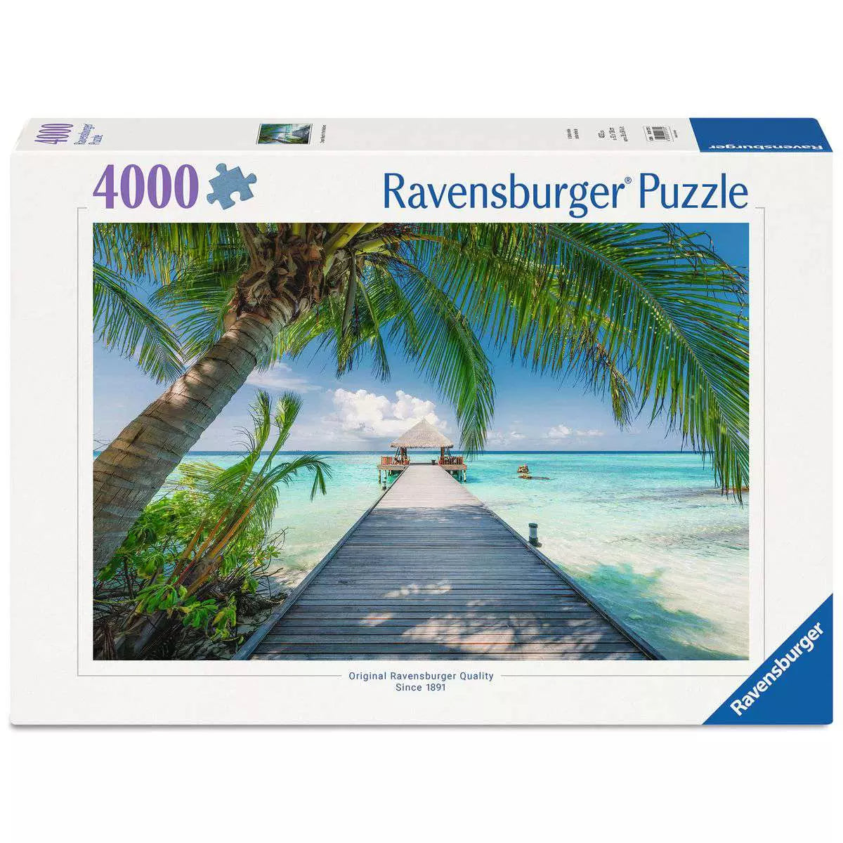 Dream Beach in the Maldives 4000 Piece Puzzle