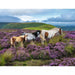 Wild Horses in the Heather 2000 Piece Puzzle