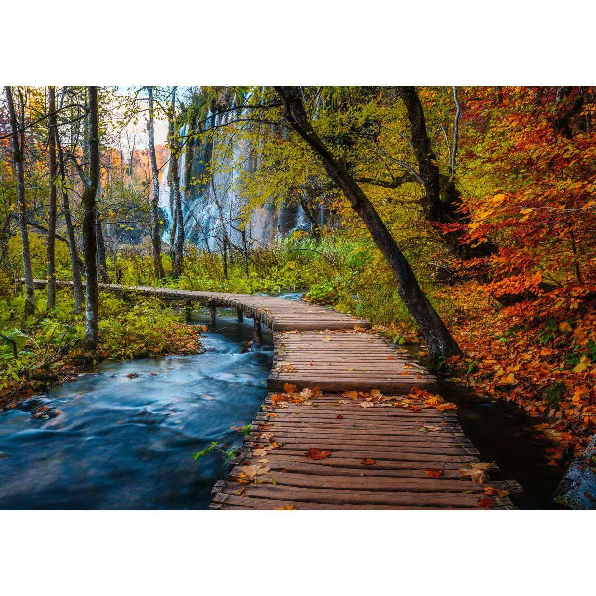 Beautiful Walkways: Autumnal Wooden Trail 1000 Piece Puzzle