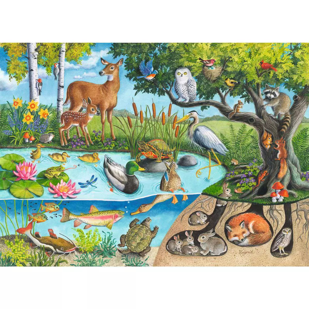 RAV Animals Above & Below 60 Piece Puzzle