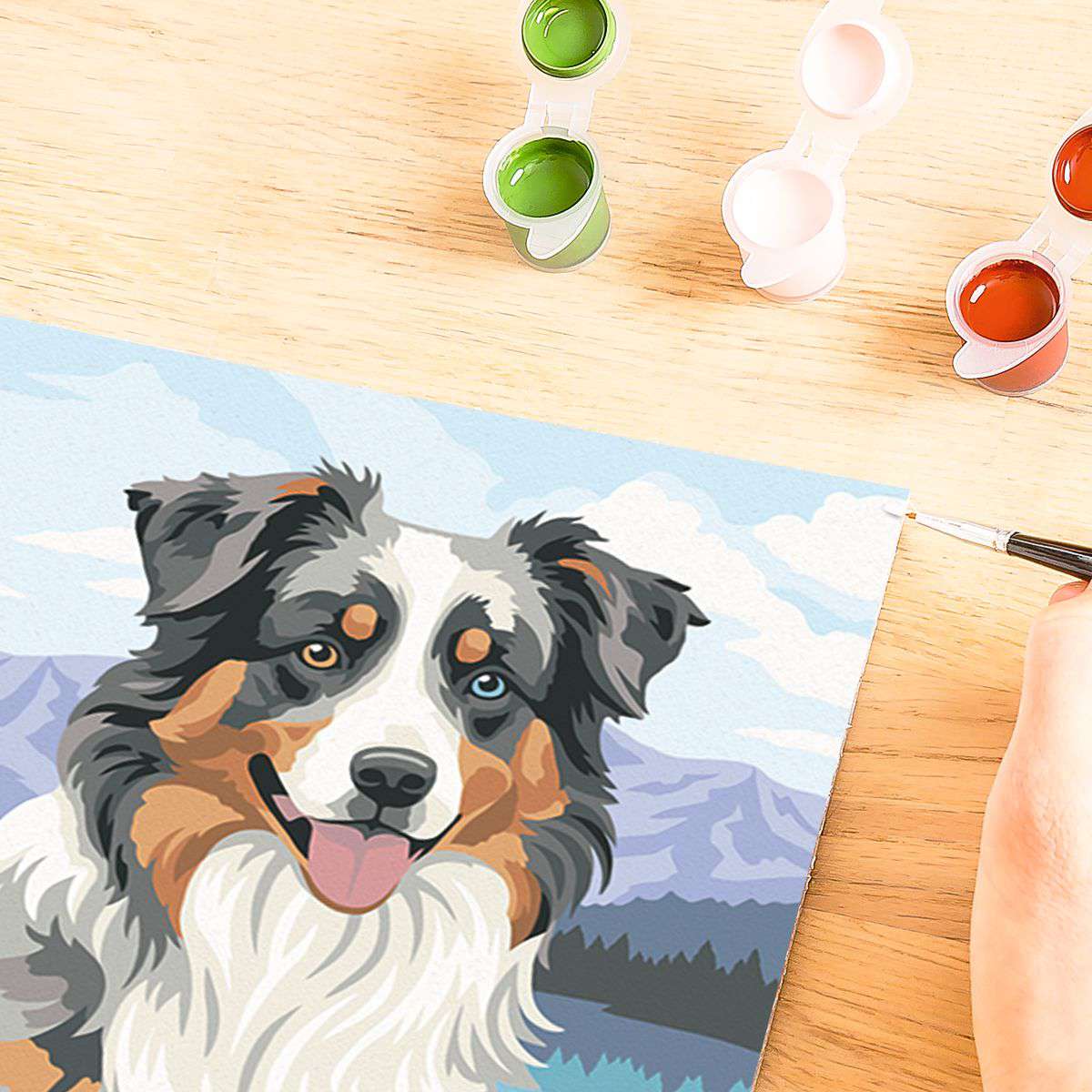 RAV CreArt Australian Shepherd Paint-by-Number
