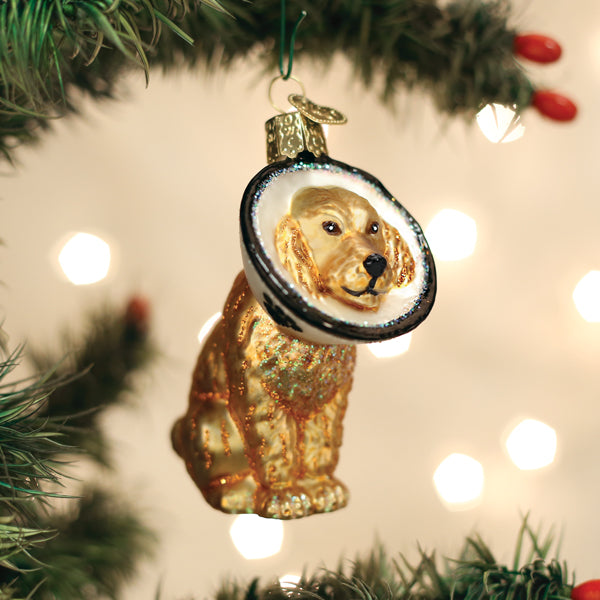 Old World Christmas Cone of Shame Dog    