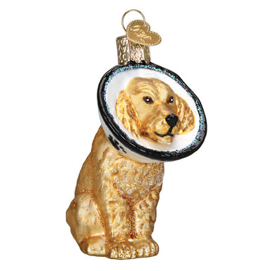 Old World Christmas Cone of Shame Dog    