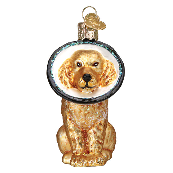 Old World Christmas Cone of Shame Dog    