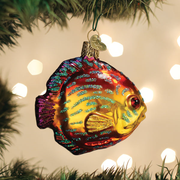 Old World Christmas Discus Fish Ornament    