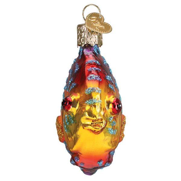 Old World Christmas Discus Fish Ornament    