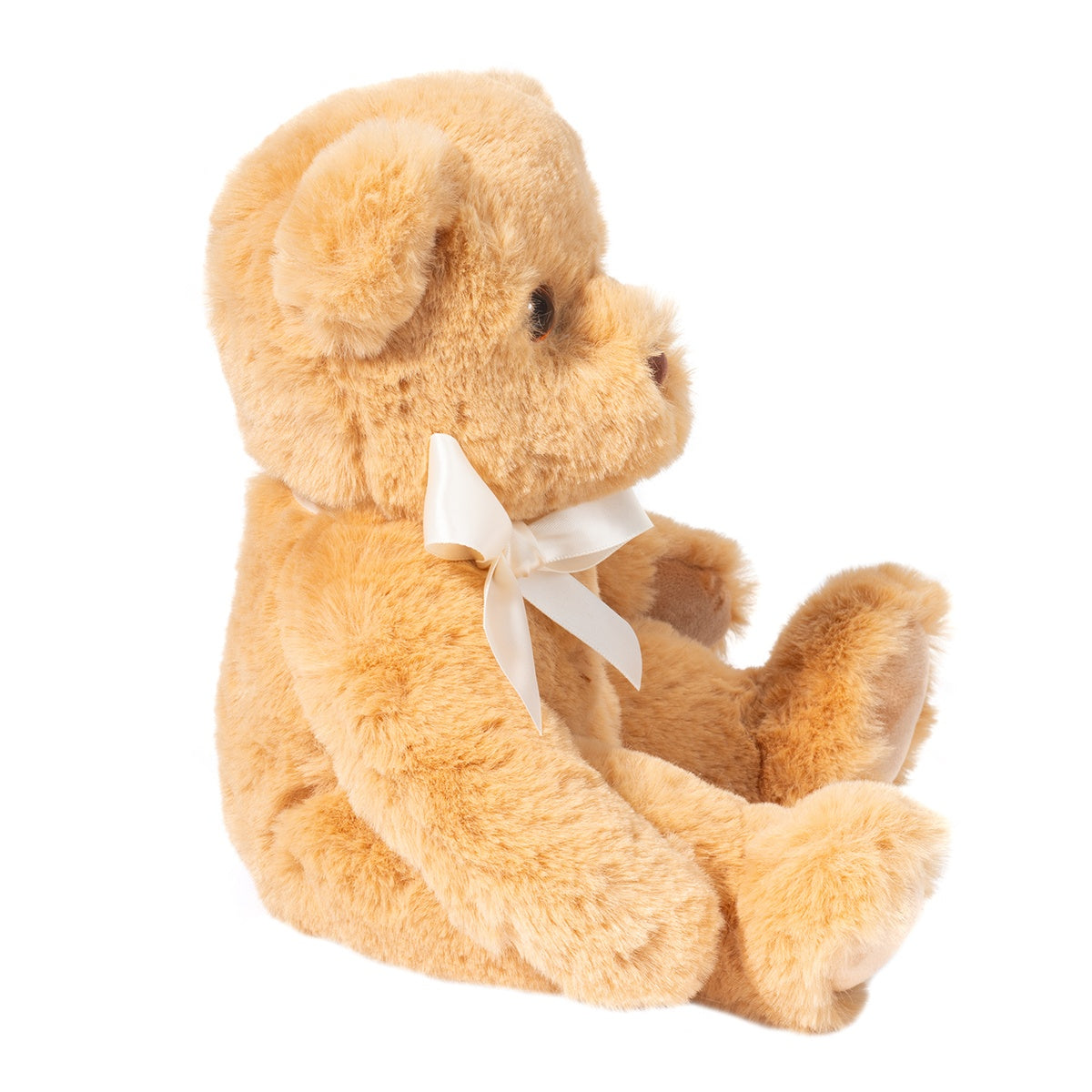 Graham Mini Golden Bear