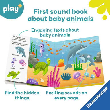 RAV Shh…Who's There? Baby Animals