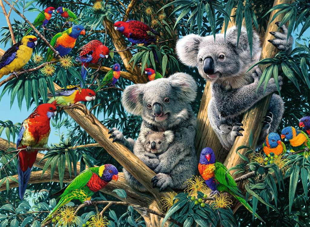Koalas in a Tree 500 Piece Puzzle