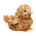 Brown-Multi Chick    