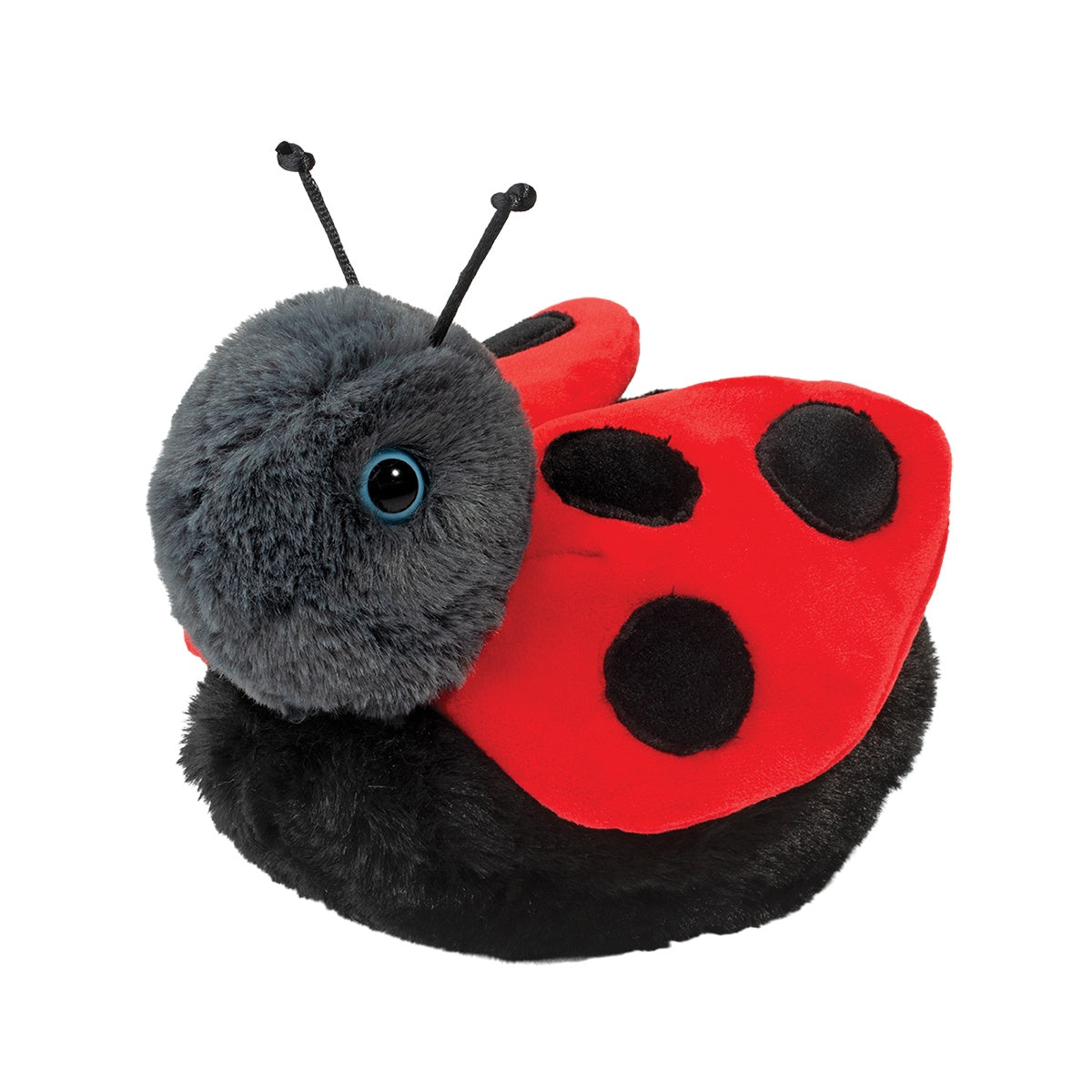 Bert Ladybug    