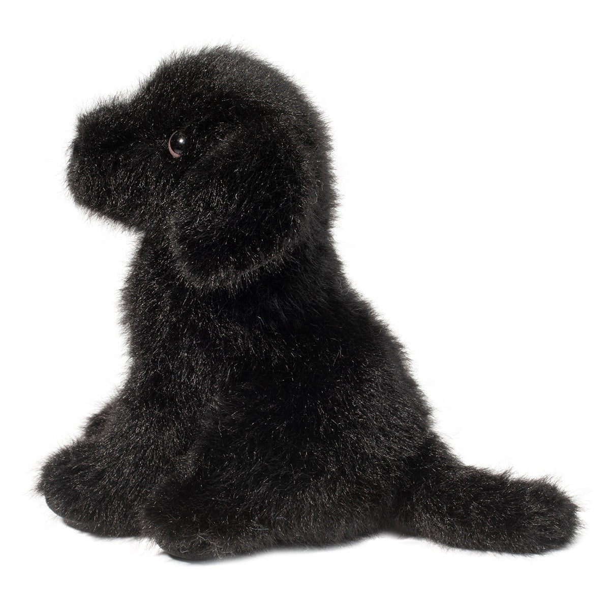 Mini Black Lab