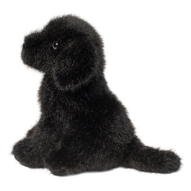 Mini Black Lab