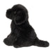 Mini Black Lab