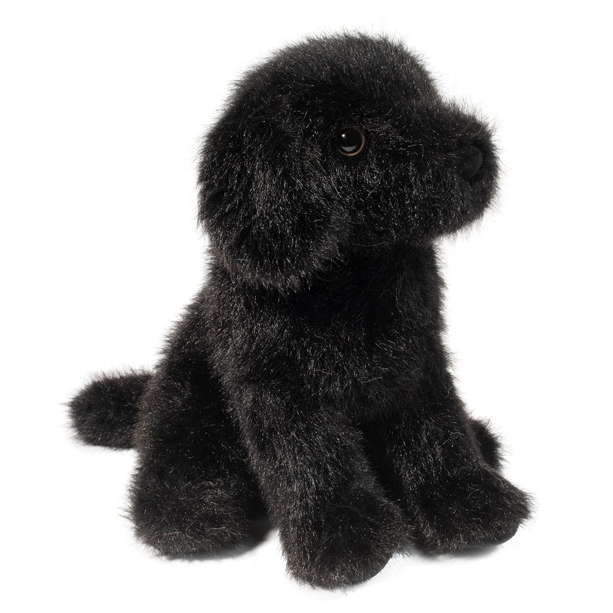 Mini Black Lab