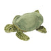 Tilly Sea Turtle