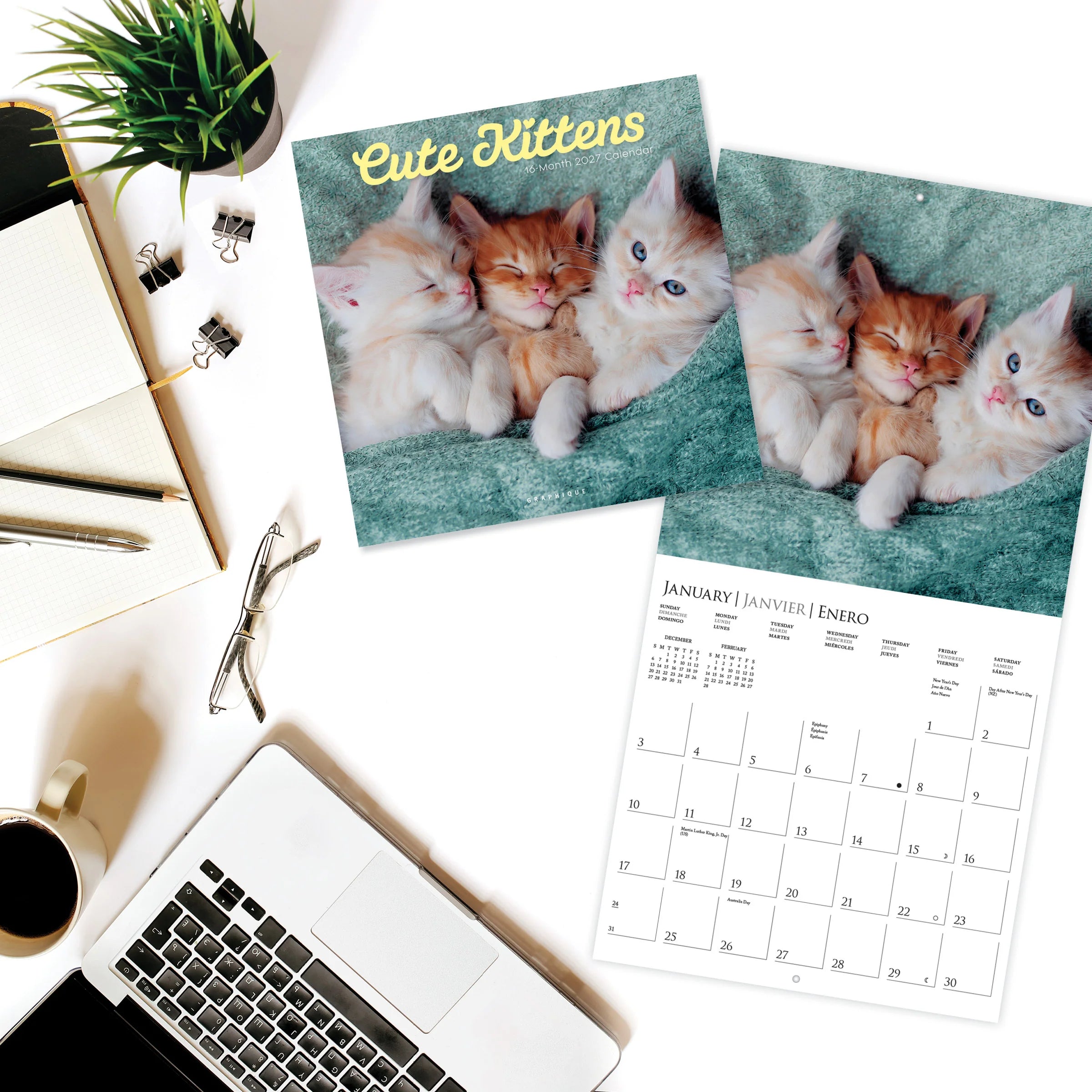 GRPH Cute Kittens 2027 Wall Calendar