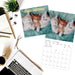 GRPH Cute Kittens 2027 Wall Calendar