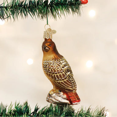 Old World Christmas Red-Tailed Hawk Ornament