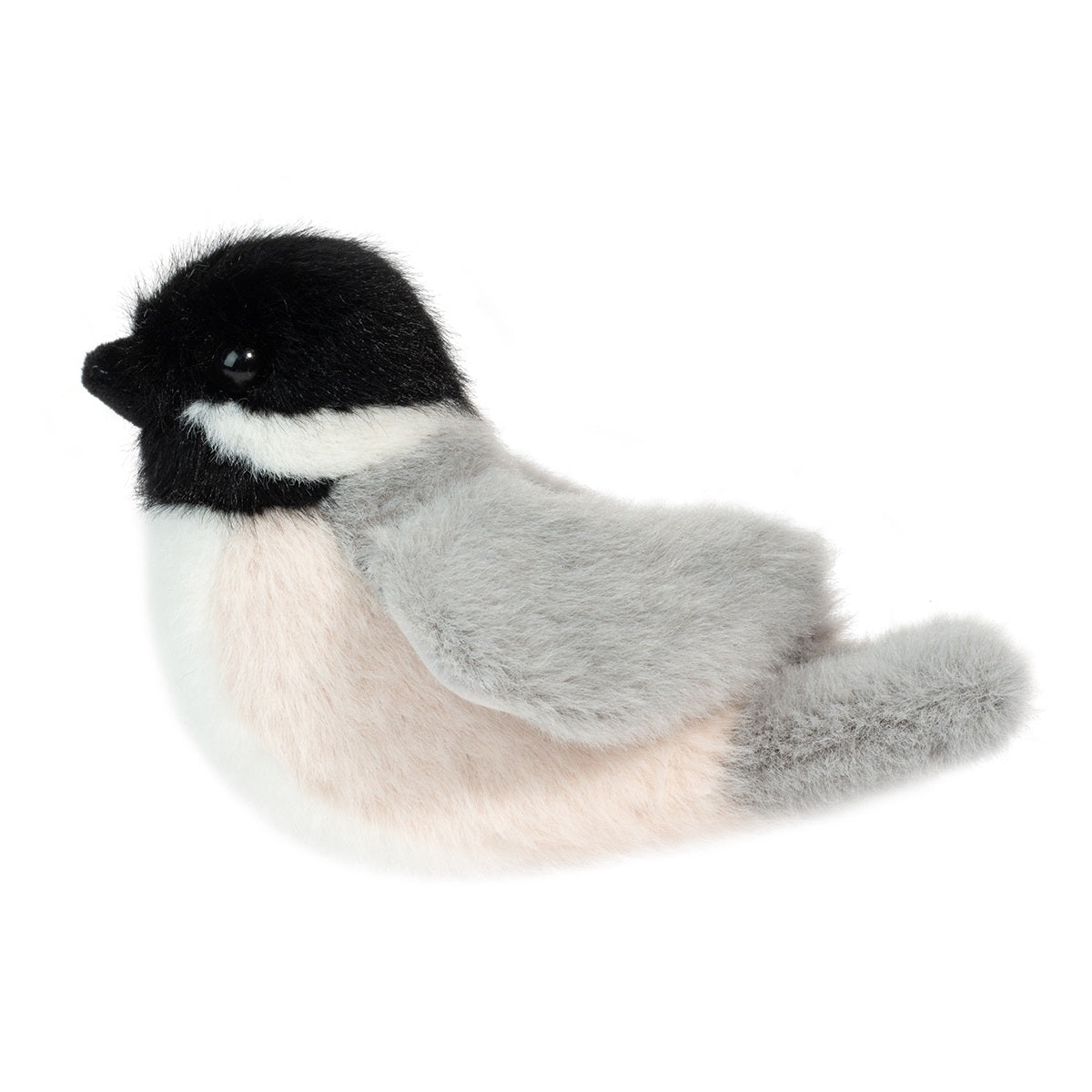 Chipper Chickadee Bird    