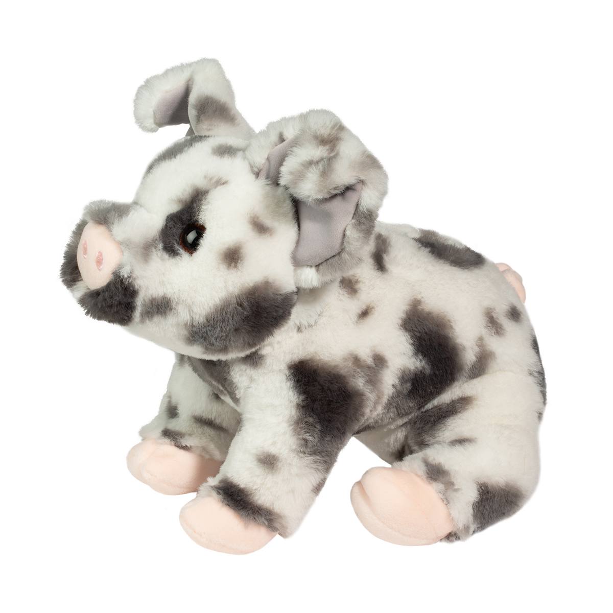Zoinkie Spotted Pig