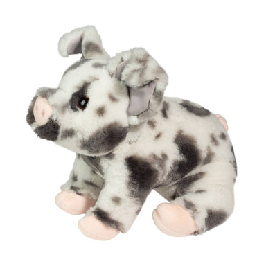 Zoinkie Spotted Pig