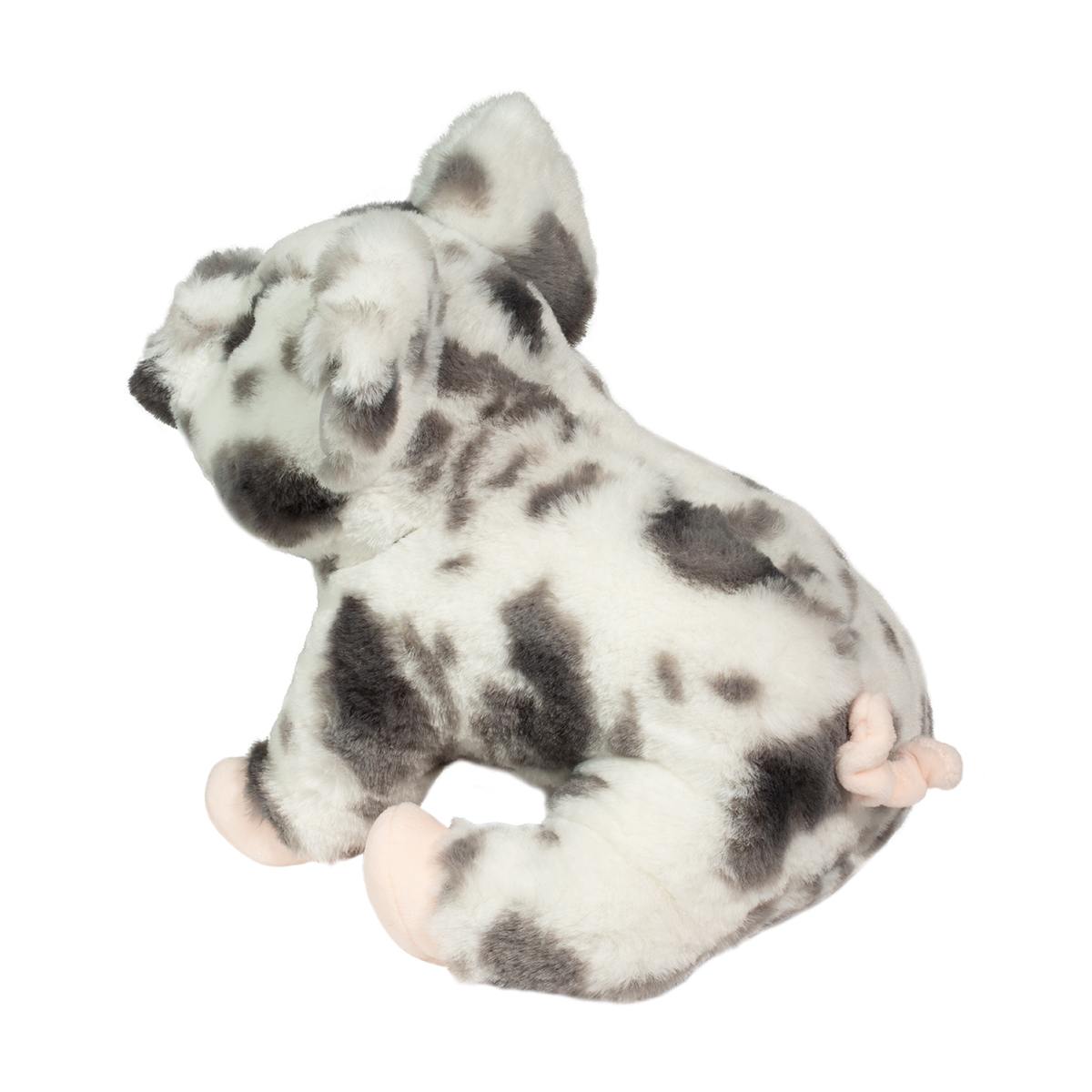 Zoinkie Spotted Pig
