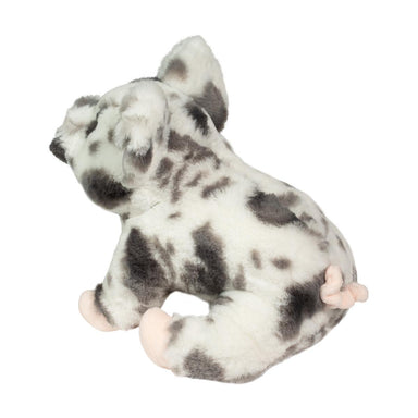 Zoinkie Spotted Pig