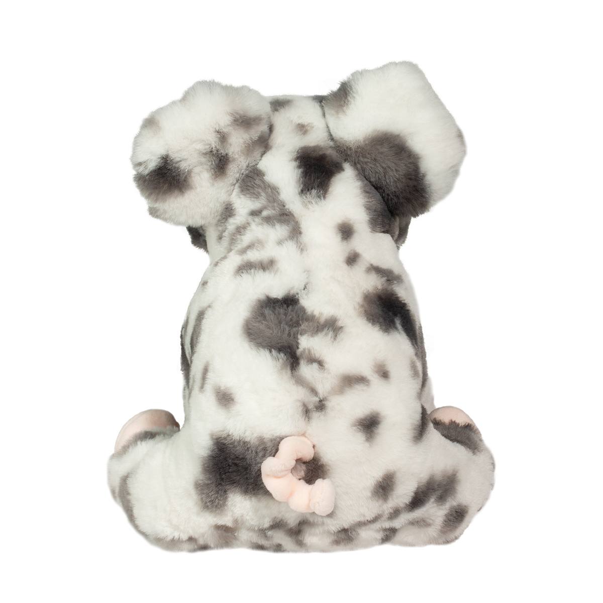 Zoinkie Spotted Pig