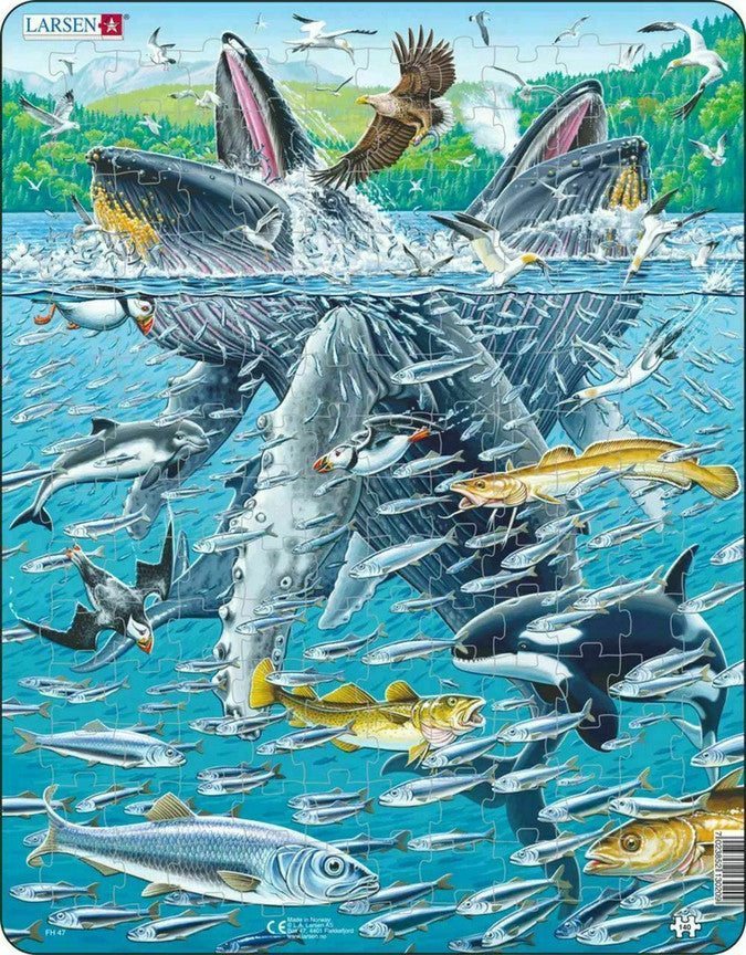 Humpback Whale 140 Piece Larsen Frame Puzzle