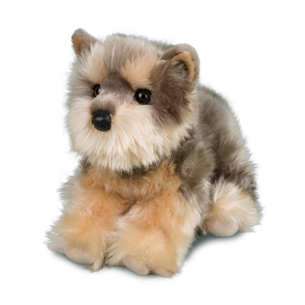 Yettie Yorkie    