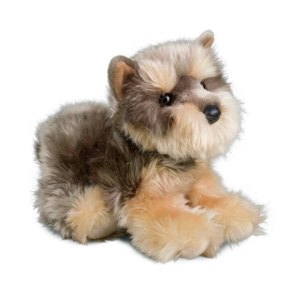 Yettie Yorkie    