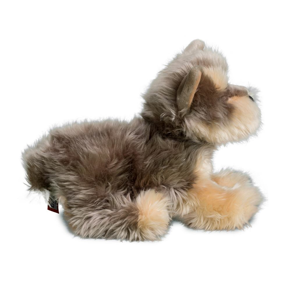 Yettie Yorkie    